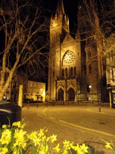 Anglican daffodils.JPG