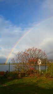 Rainbow Nov 9.jpg